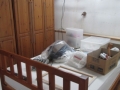 Bedroom 4 (0)