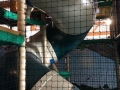 playcentre5