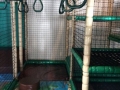 playcentre6
