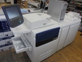 Xerox (11)